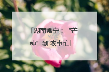 湖南常宁：“芒种”到 农事忙