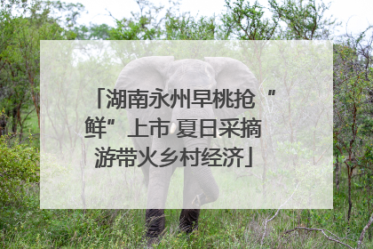 湖南永州早桃抢“鲜”上市 夏日采摘游带火乡村经济
