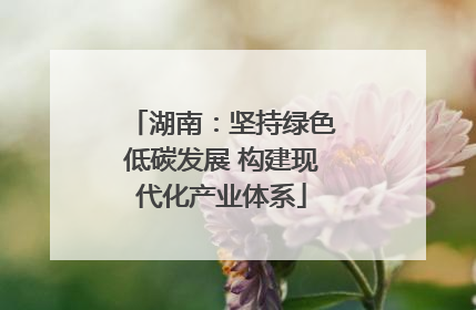 湖南：坚持绿色低碳发展 构建现代化产业体系