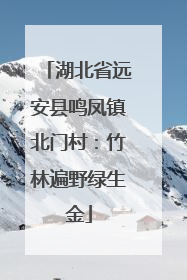 湖北省远安县鸣凤镇北门村：竹林遍野绿生金