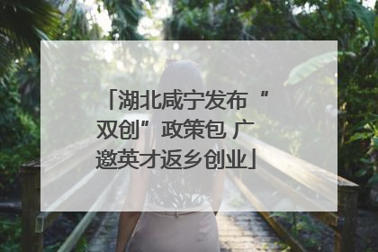 湖北咸宁发布“双创”政策包 广邀英才返乡创业