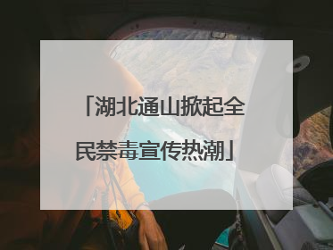 湖北通山掀起全民禁毒宣传热潮