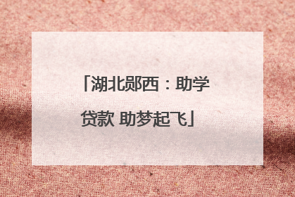 湖北郧西：助学贷款 助梦起飞