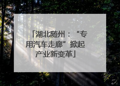 湖北随州：“专用汽车走廊”掀起产业新变革