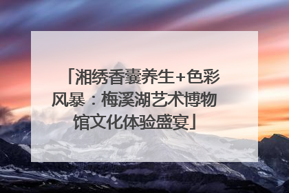 湘绣香囊养生+色彩风暴：梅溪湖艺术博物馆文化体验盛宴