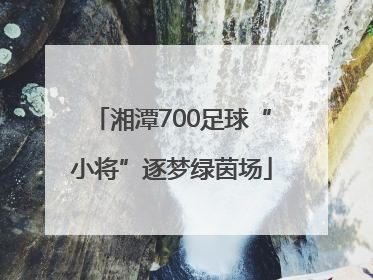 湘潭700足球“小将”逐梦绿茵场