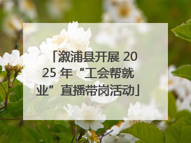 溆浦县开展 2025 年“工会帮就业”直播带岗活动