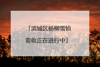 滨城区杨柳雪镇麦收正在进行中