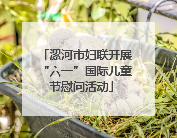 漯河市妇联开展“六一”国际儿童节慰问活动