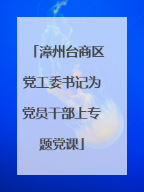漳州台商区党工委书记为党员干部上专题党课