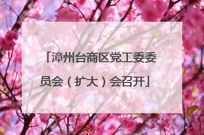 漳州台商区党工委委员会（扩大）会召开