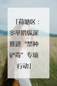 荷塘区：多举措纵深推进“禁种铲毒”专项行动