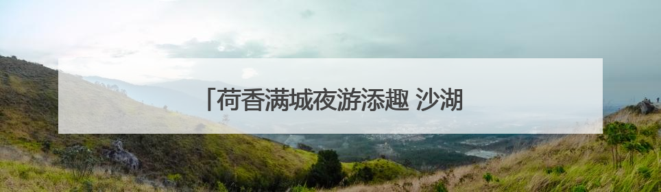 荷香满城夜游添趣 沙湖公园第11届荷花展开展