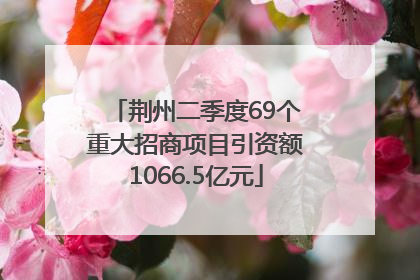 荆州二季度69个重大招商项目引资额1066.5亿元