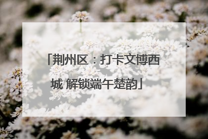 荆州区：打卡文博西城 解锁端午楚韵