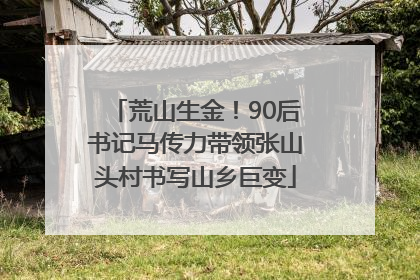 荒山生金！90后书记马传力带领张山头村书写山乡巨变