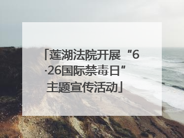 莲湖法院开展“6·26国际禁毒日”主题宣传活动