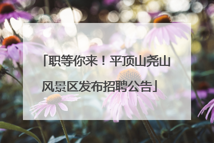 职等你来！平顶山尧山风景区发布招聘公告