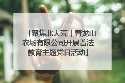 聚焦北大荒｜青龙山农场有限公司开展普法教育主题党日活动
