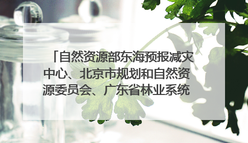 自然资源部东海预报减灾中心、北京市规划和自然资源委员会、广东省林业系统等正在招聘｜招聘信息