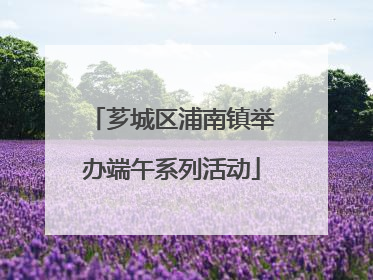 芗城区浦南镇举办端午系列活动