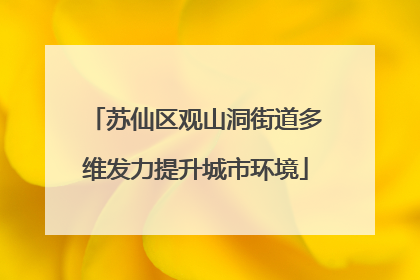 苏仙区观山洞街道多维发力提升城市环境