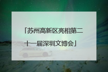 苏州高新区亮相第二十一届深圳文博会