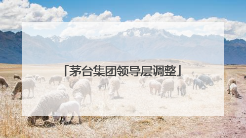 茅台集团领导层调整