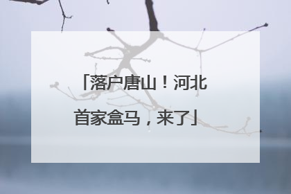 落户唐山！河北首家盒马，来了