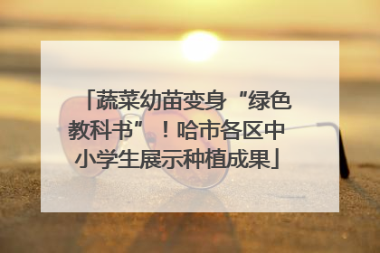 蔬菜幼苗变身“绿色教科书”！哈市各区中小学生展示种植成果