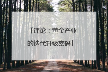 评论：黄金产业的迭代升级密码