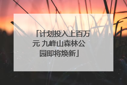 计划投入上百万元 九峰山森林公园即将焕新