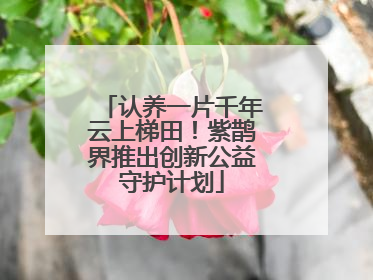 认养一片千年云上梯田！紫鹊界推出创新公益守护计划