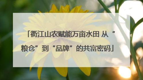 衢江山农赋能万亩水田 从“粮仓”到“品牌”的共富密码