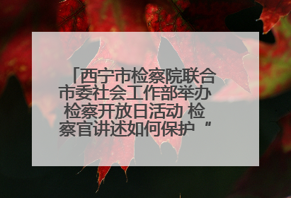 西宁市检察院联合市委社会工作部举办检察开放日活动 检察官讲述如何保护“少年的你”