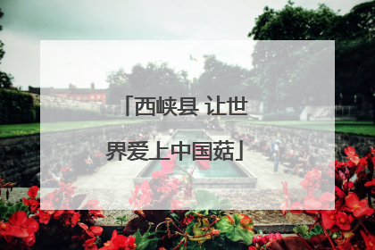西峡县 让世界爱上中国菇