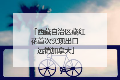 西藏自治区藏红花首次实现出口 远销加拿大