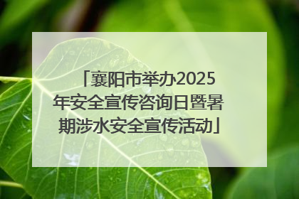 襄阳市举办2025年安全宣传咨询日暨暑期涉水安全宣传活动
