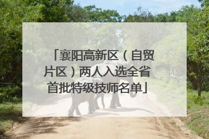 襄阳高新区（自贸片区）两人入选全省首批特级技师名单