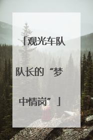 观光车队队长的“梦中情岗”