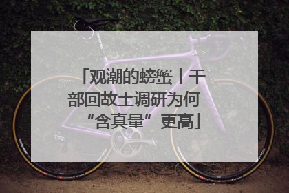 观潮的螃蟹丨干部回故土调研为何“含真量”更高