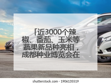 近3000个辣椒、番茄、玉米等蔬果新品种亮相，成都种业博览会在蓉开幕