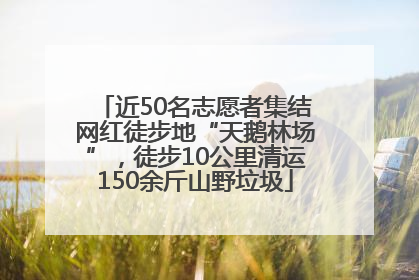 近50名志愿者集结网红徒步地“天鹅林场”，徒步10公里清运150余斤山野垃圾