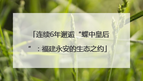 连续6年邂逅“蝶中皇后”：福建永安的生态之约