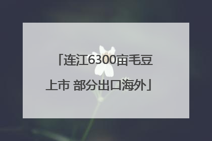 连江6300亩毛豆上市 部分出口海外