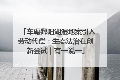 车碾鄱阳湖湿地案引入劳动代偿：生态法治在创新尝试｜有一说一