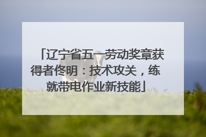 辽宁省五一劳动奖章获得者佟明：技术攻关，练就带电作业新技能