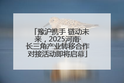 豫沪携手 链动未来，2025河南·长三角产业转移合作对接活动即将启幕
