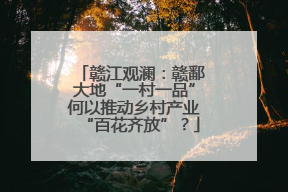 赣江观澜：赣鄱大地“一村一品”何以推动乡村产业“百花齐放”？