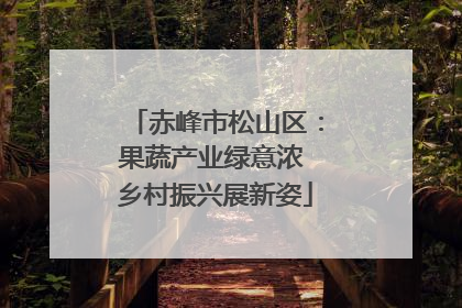 赤峰市松山区：果蔬产业绿意浓 乡村振兴展新姿